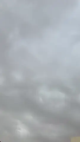 #صباحكم_سعادهـ🌸🍃.                 #الشعب_الصيني_ماله_حل😂 #اكسبلور_tak_tok_ #foryoupag 