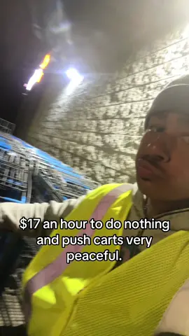 mcdonalds was horrible compared to this #fyp #foryou #explore #job #walmart #fypツ #carts 