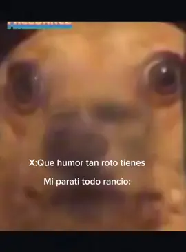 vvs mi para ti es unico y rancio Stop fuera de broma solo eso me aparece en mi para ti xd por eso mi humor es rancio JAKAJAKA. #paratii #xd #humorrancio #fyp #pinchetiktokponmeenparati #foryou #billkaulitzmiesposochikibeibi 