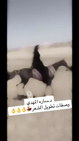 @دكتوره_ساره_المهدي #دساره_المهدي #هانم_مصر #جمالك_مع_ساره_المهدي #مواعيد_قص_الشعر #قص_الشعر #ساره_المهدي #العنايه_بالشعر 
