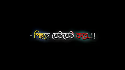 পিছনে ঘেউঘেউ করে কুকুরের পরিচয় দিও না। 🥱😎 #leg_lyrcis_society👑 #sakib_lyrics_ #growmyaccount #unfrezzmyaccount #foryou #foryoupage #bdtiktokofficial🇧🇩 @TikTok @TikTok Bangladesh 