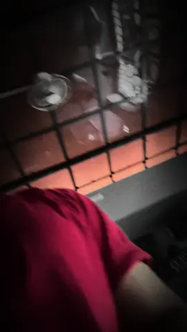 ♥️🥜🍍🐜🥑♥️