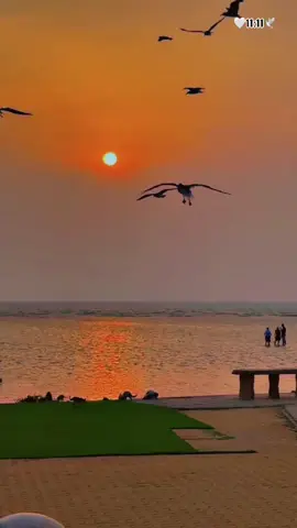 لا تصاحب في الدنيا الا الطيب 🥹🕊️🕊️🕊️🕊️ #🌹🌹🌹🌹🌹🌹🌹🌹🌹🌹🌹🌹 #الحب #حبيبي #احبكم  #المشكى_على_الله #خالد_عبدالرحمن #خالديات #capcut #خالد_عبدالرحمن_اعاني_حاولت_اجيبك #تصميم #تصاميم #تصميم_فيديوهات🎶🎤🎬 #من_اصدق_ما_قيل #من_اصدق_ماقرات #اكسبلور_explore #شيبت_روحي #ترند_تيك_توك #اطلبي_يانفس_دام_الله_كريم #اكسسسسسبلورررررررررر🌹 #foryou #viraltiktok #😭😭😭😭😭😭💔💔💔💔 #fyp #foryourpage #viraltiktok #fypシ゚viral #duet #fyppppppppppppppppppppppp #بدون_هشتاق #بدون_توقيع #hope #foryourpage #roblox #fypシ #حتى_البحر_لستضاق_تفضفض_أمواجه #لحظات_تبقى_في_الذاكرة #تكفون #المملكه_العربيه_السعوديه #المانيا #المغرب #المغرب🇲🇦تونس🇹🇳الجزائر🇩🇿 #الشعب_الصيني_ماله_حل😂😂 #الموصل #المدينه_المنوره #ترند #مشاهير_تيك_توك 