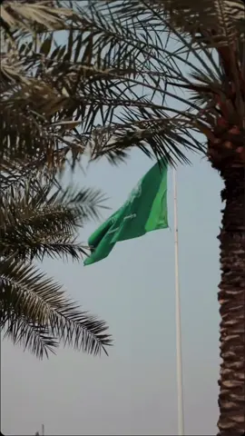 نحن اعظم  دولة واجمل شعب♥️🇸🇦. #93saudinationalday #السعودية #🇸🇦