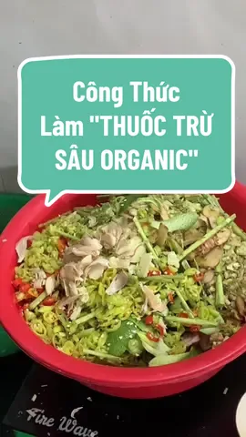 Chính Thức: Công Thức làm THUỐC TRỪ SÂU ORGANIC #thuoctrusauorganic #tainongdan #bophoveque #trongrautainha #farm 