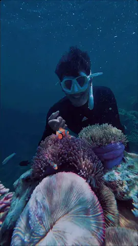 #CapCut #karimunjawa #karimunjawaisland #karimuntour #fyp  #fyppp 