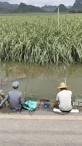 ở đâu có nước thì có dân câu #cauca #câucá #caudai #câuđài #xuhuong #huyentrang_fishing #câu_đài_huyền_trang #Capcut