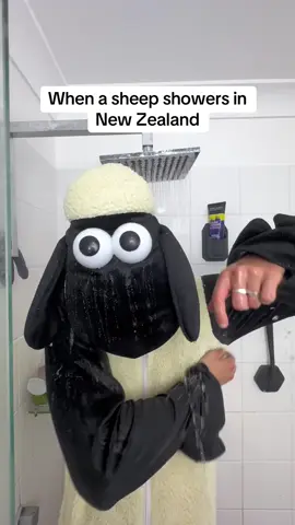 And that’s how we get our marinated Lamb #nz #newzealand #sheep #shower #lamb #marinated #aussie #joke #itsajoke 