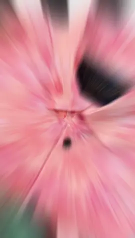 new premium ambrose print shirt collection  অর্ডার করতে অথবা বিস্তারিত জানতে হোয়াটসঅ্যাপে মেসেজ করুন 01521257804 #shoptr #shirt #shirts #fyp #shirtdesign #fypage #fypシ゚viral #fypシ #formalshirt #unfreeze #fashiontiktok #unfreezemyacount #foryoupage #foryourpage #menfashion #tranding #shirtchallenge #formaldress 