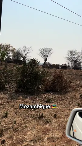 Travels #maweni #gogomaweni #sangoma #spirituality #healing #traditionalherbs #travellife #mozambique 