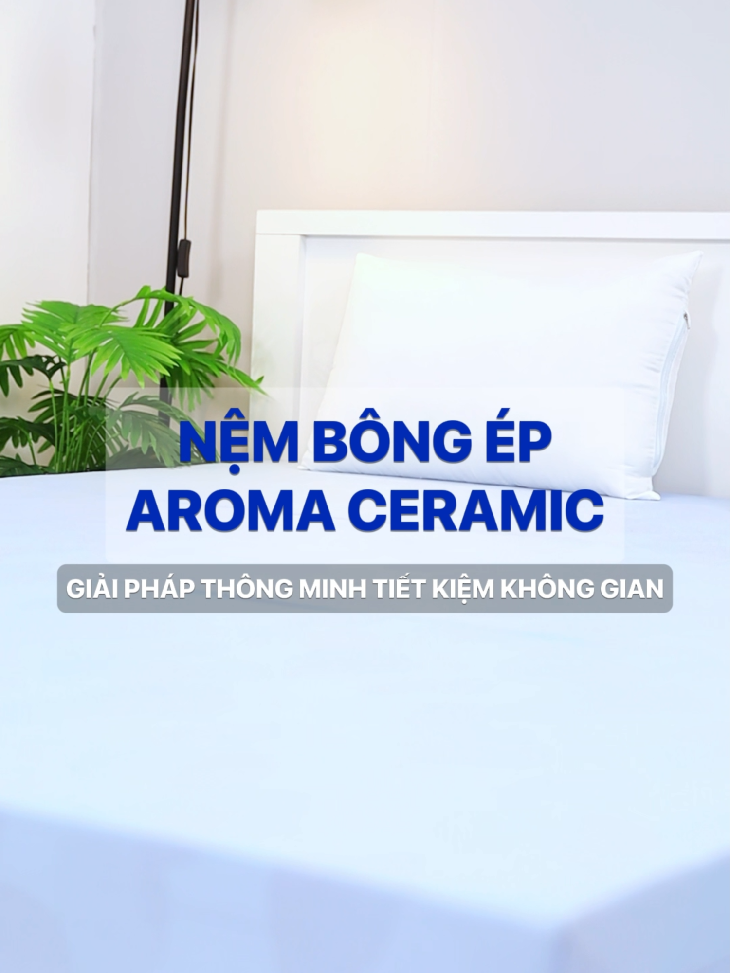 NỆM BÔNG ÉP GẤP 3 AROMA CERAMIC #aromashop #aroma #nemgiakho#nemgiare #nembongep #nemcaosuthiennhien #nemloxo#nemvanphong #xuhuong