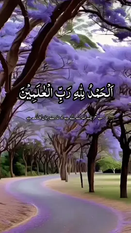 #القران_الكريم #quran #quran_kareem #quranrecitation #islamic_video #foryoupagee #foryou #trending #capcut #unfrezzmyaccount #100kviews #100kfollowers #growmyaccount #fyp #pleasegoviral 