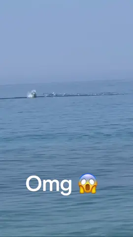 #fy #fypシ゚viral #viral #fish #fishing #fishinglife #topwaterfishing #explore #explorepage #اكسبلور #fypシ 