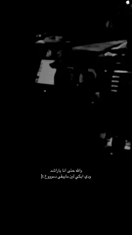 #اكسبلورexplore #راشديات #fyp 