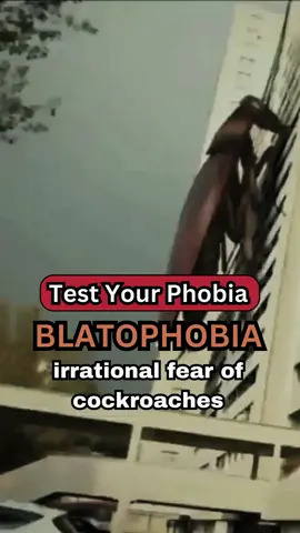 Phobia Test - blatophobia🪳 irrational fear of cockroaches #fyp #blatophobia #phobiatest #phobia #interesting #cockroach 