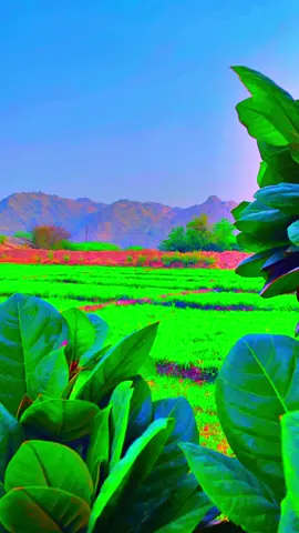 #سورة_مريم #يَا يَحْيَىٰ خُذِ الْكِتَابَ بِقُوَّةٍ ۖ وَآتَيْنَاهُ الْحُكْمَ صَبِيًّا#سعود_الشریم #🤍احمد_الشهري🤍 #أكسبلور_explore #لاتنسوني_من_دعواتكم_ولكم_بالمثل❤️ #ارح_قلبك_المتعب_قليلاً🤍اكسبلور #لاتنسو_لايك_متابعة_اكسبلور_ازا_عجبكم #اكتب_شي_توجر_عليه #تلاوات_خاشعة #ارح_سمعك_بالقران #تلاوات_نادره #🤍احمد_الشهري🤍 #أكسبلور_explore 