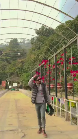 #favsong 😍#fypシ゚viral #viralvideo #morangmuser #iloveyou @Susmita Xettri @SB🌸❤️ @susma✨ 