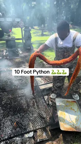 Cooking a 10 foot python 🐍🐍‼️🤠🤠 #foryou #fypシ゚viral #explorepage #foodchallenge #foryoupage #explore #viral #explorepage✨ #foodphotography #foodnetwork #outdoorcooking #foodcritic #brunch #fypage #chef #asmr #foodtiktok #cheflife #Foodie #tiktok 