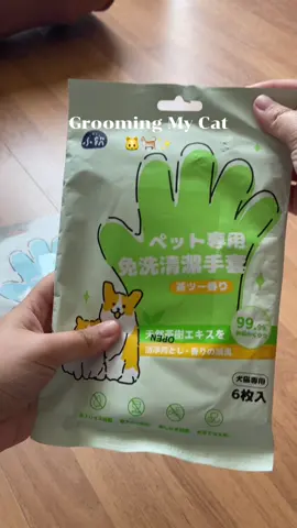 Grooming My Cat🐱🐈✨ ฉบับน้องแมวไม่ชอบน้ำ ถุงมือทำความสะอาดสัตว์เลี้ยง แบบปลอดภัย น้องๆเลียได้ ถุงนึงใช้ได้หลายครั้งเลยน้าาา👍🏻🐾🐾 #ถุงมือทําความสะอาดสัตว์ #เคล็ดลับสัตว์เลี้ยง #ทาสหมาทาสแมว #petparadiseth 
