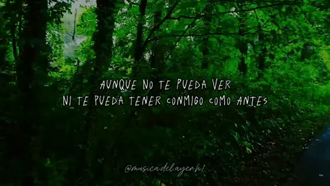 #Cumbia #cumbiapeposa #elpepo  #yotevoyahacerfeliz #musicaconletra  #youtubemusic #parati 