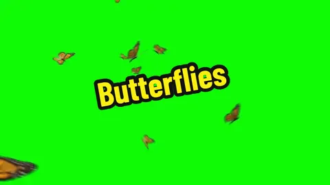 Butter Flies Green screen videos. 🦋Butter flies Green Screen CapCut. Video Editing Tutorial. Ai Hug Tutorial App. screen recorder. Butter green screen. #fyp #fypシ #butter #butterfly #butterfelis🦋 #🦋 #butterfelis #butterfelisgreenscreen #🦋🦋 #🦋🦋🦋🦋🦋 #greenscreenvideo #capcut #foryoupage #viral #trending #viraltiktok #greenscreen #vfx #vfxeffect #greenscreeneffectstrendingvideo #틱톡 라이트 10000 포인트 #applecameraapps #greenscreenvideofilter #applecamera #greenscreeneffectbackground #greenscreenforedits #trendinggreenscreen #greenscreenfilter #greenscreeneffects #greenscreenvideoeffect #greenscreenmemes #greenvideofilter #greenscreenbackgroundeffect #greenscreenforvideo #greenscreentrending #capcut 