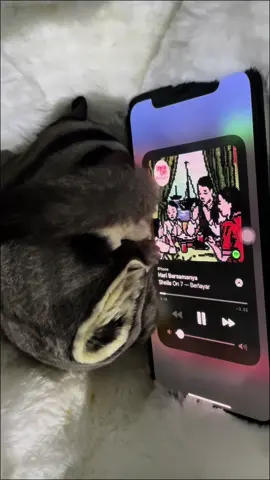🎧 #fyp #4u #haribersamanya #sheilaon7 #music 