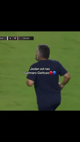 Podrska treneru👏🇮🇹🇭🇷🔴🔵#gennarogattuso #hajduksplit 