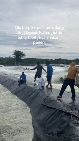 😩 #fyp #tambakudang 