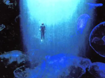 dreaming forever. #xtal #aphextwin 