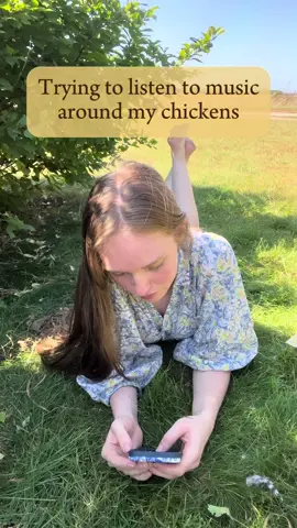 If you know this movie were automatically best friends 😂 Trying to teach the ladies good taste in movies and music lol   #whitechicks #terrycruise #thewayansbros #whitechicksmovie #comedy #chickenhumor #chickencomedy #chickensoftiktok #chiktok #chicktok #chickenfunnyvideos #funnychicken #dancingchicken #nostalgia #satire #Outdoors #naturenut #outdoorvideos #makingmywaydowntown #1000miles #howdidyouknow #ilovethissong #2002 #early2000s #early2000snostalgia #early2000smusic #2000smovies #whitechicks2004 #MomsofTikTok #foryou #fyp #foryoupage #viralchickens #viraltiktok #govirall #sahmsoftiktok #sahmlife #funnymom #momhumor