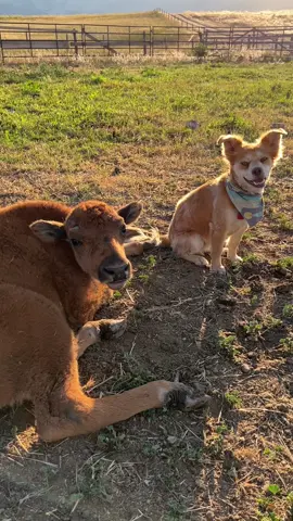 we made it home with heaven between us