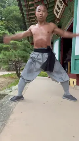 Traditional Shaolin Punch with Shadow Punch. A great combination to increase power and stamina. #kungfu #shaolinworkout 