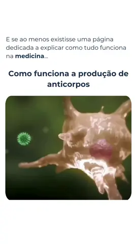 🔬 Como funciona a produção de anticorpos? Quando o corpo identifica um invasor, como um vírus ou bactéria, as células apresentadoras de antígeno (APCs) entram em ação! Elas capturam o invasor, processam suas proteínas e 