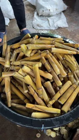 The process of boiling bamboo shoots in the local way for 20 years  #asmr #fruits #fruit 