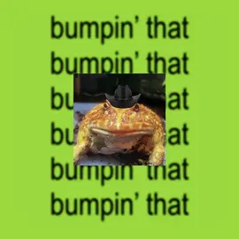 Sheriff piss is brat #CapCut #charlixcx #brat #frog 
