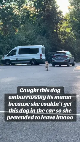 This dog was NOT tryna go home 😂😭 #dogsoftiktok #dogproblems #fyp 