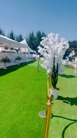 Mzwandile & Leko Lobola Weekend The Wedding #brownallies 