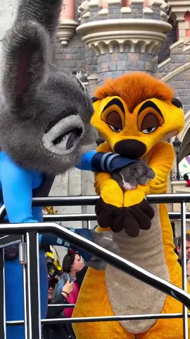 ✨Judy Hopps arrests Timon for taking the Mickey bag! Follow @my_castle_club for more Disney content, videos and latest Disneyland Paris news #judyhopps #zootopia #timon #lionking #thelionking #millionsplashesofcolour #disneyparade #disneyarrest #disneylandparis #dlp #insideears #eurodisney #disneylandparispa #mycastleclub 