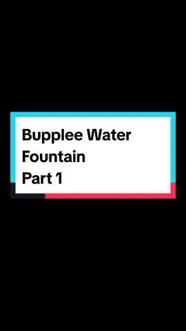 Bupplee Pet Water Fountain Part 1 #petwaterfountain #petfountain #PetsOfTikTok 