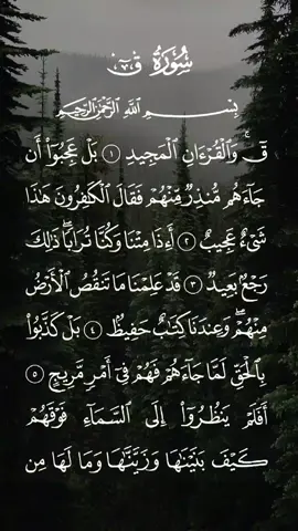 سورة ق كاملة بصوت الشيخ سعد الغامدي موثر وخاشع #سعد_الغامدي #سورة_ق #قران #قران_كريم #قرآن #القرآن_الكريم_ترند #تلاوة_خاشعة #راحة_نفسية #نفع_الله_بكم_الاسلام #المؤمنون_بالله_وحده #حافظواعلى_الصلاة #لاتكفروا_بالله #خاشع_ومؤثر #الصلاة #اسلام #سبحان_الله #oops_alhamdulelah #لا_اله_الا_الله #الله_اكبر #الله #محمد #محمد_صلى_الله_عليه_وسلم #استغفرالله #استغفرالله_العظيم_واتوب_اليه #الجمعة #دعاء #ذكر #السعودية #الامارات #الشارقة #دبي #المدينه_المنوره #مكة #مكة_المكرمة #الكويت #العراق #الجزائر #قطر #مصر #egypt #uae #friday #dubai #foryou #quran #quran_alkarim #viral #fyp #islam #americanmuslim #islamic #CapCut 