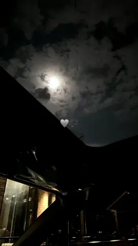 أنا حبيبي بسمته تخجل الضي🎶🩶