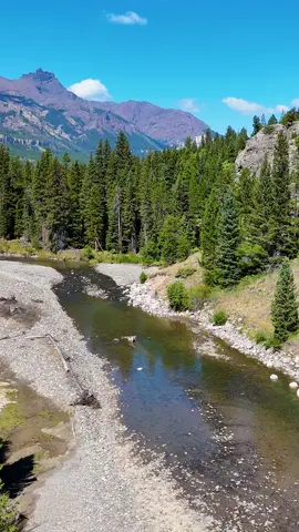 Exploring new water is tons of fun! But there's always the worry you won't catch fish. 🏔️🐟 Recently, Spencer was out exploring a piece of water he'd never fished before, but always wanted to. It looked great! Tons of runs, riffles, and pools, full of good-looking trout habitat. But were there actually fish there? As it turns out, yes! There were fish! And while not every exploratory trip turns out that way, enough of them do to keep us coming back. Consider this your reminder to get out and explore that piece of water you've had your eye on for a while! #flyfishing #flyfishingnation #flyfishingtiktok #flyfishinglife #flyfishingtrout #flyfishingaddict #flyfishingcheck #flyfishingtips #flyfishingbass #venturesflyco #TeamVFC #livereellife #beginnerflyfishing #howtoflyfish #flytying #flytyingjunkie #flytyingaddict #flytyingtutorial #flytyingvideo #flytyingnation #flytyingphotography #flytyingtiktok