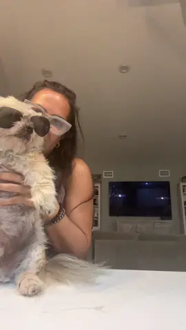 #beatit #dogsoftiktok #dog #dancemoves #fyp 