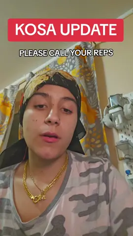 i really didnt want to have to do this #KOSA #kidsonlinesafety #kidsonlinesafetyact #fandom #fanfiction #ao3 