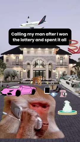 If you HAD TO spend a million dollars in 24 hrs what would u buy?  #Meme #MemeCut #funny #richlife #hibesties #godisgood #manifestation 