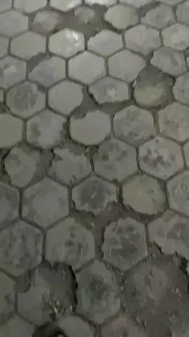 #mxold #1s7 #ojmx #tutorhd #fyp 