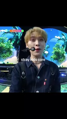 stray kids core #kpopfyp #skz4thgenleaders #kpop #skz #straykids #skzstay #changbin #bangchan #felix #hanjisung #seungmin #jeongin #leeknow #hyunjin #funnymoments #funnymemes #fypage #viralvideo #fypツ #fypシ゚viral 