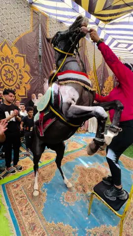 الموضوع مختلف هنا شويه 🤣🎠🎷