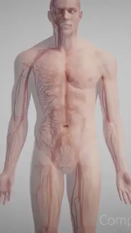 The Heart RUNS BETTER On Ketones!