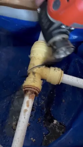 Fixing a leaking plastic fitting under the floor! #asmr #asmrsounds #plumbing #toolbag #pipes #tools #cleancopper #plumbertools #pressfit #soldering #copper #handtools #work #DIY #howto #plumber 